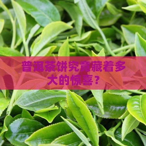 普洱茶饼多大的