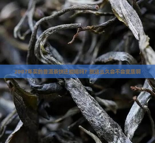 07年的普洱茶饼还能喝吗