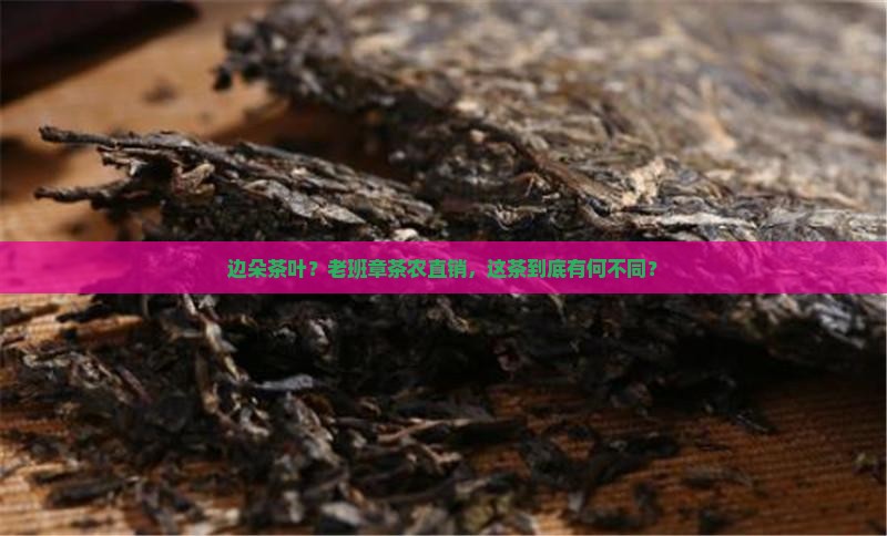老班章茶农直销边朵茶叶