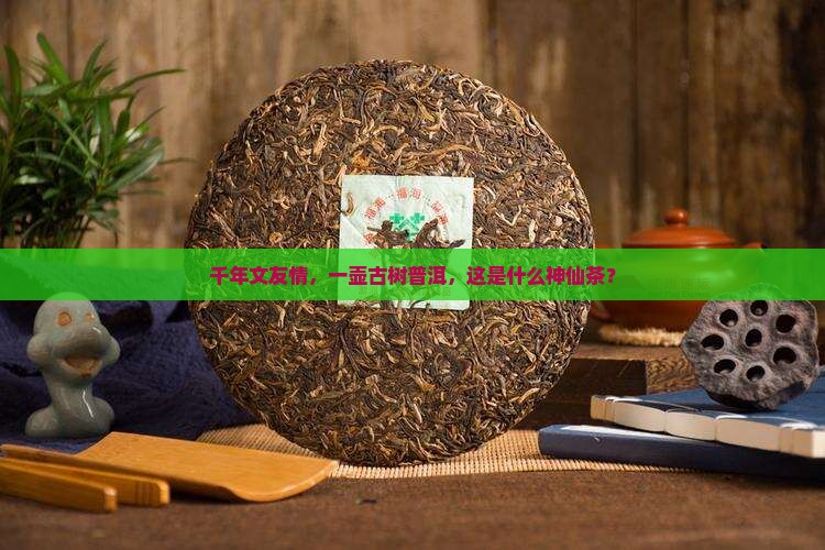文友古树普洱茶