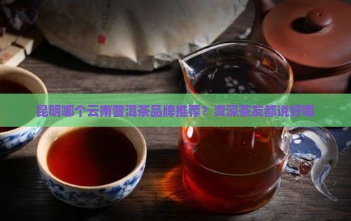 昆明哪个普洱茶好喝