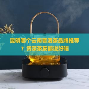昆明哪个普洱茶好喝