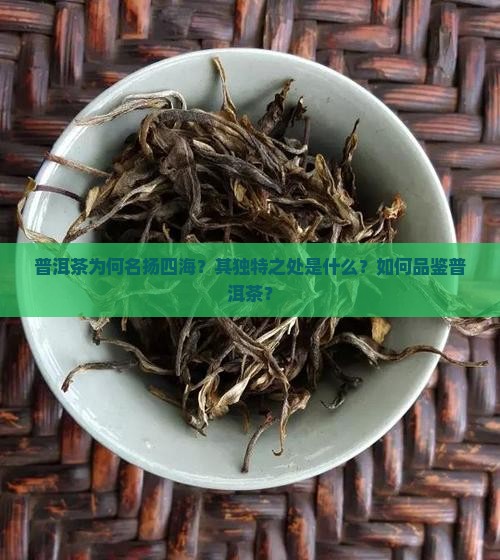 普洱茶名扬四海