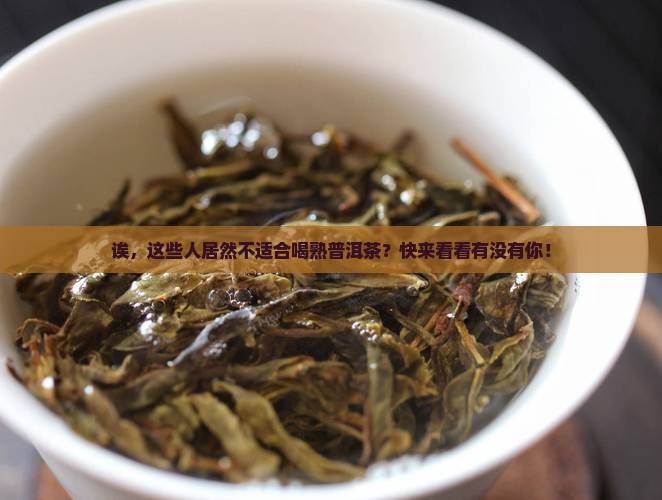 什么不适合喝熟普洱茶