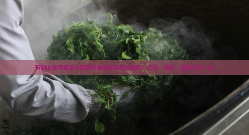 布朗山金芽老茶头报价