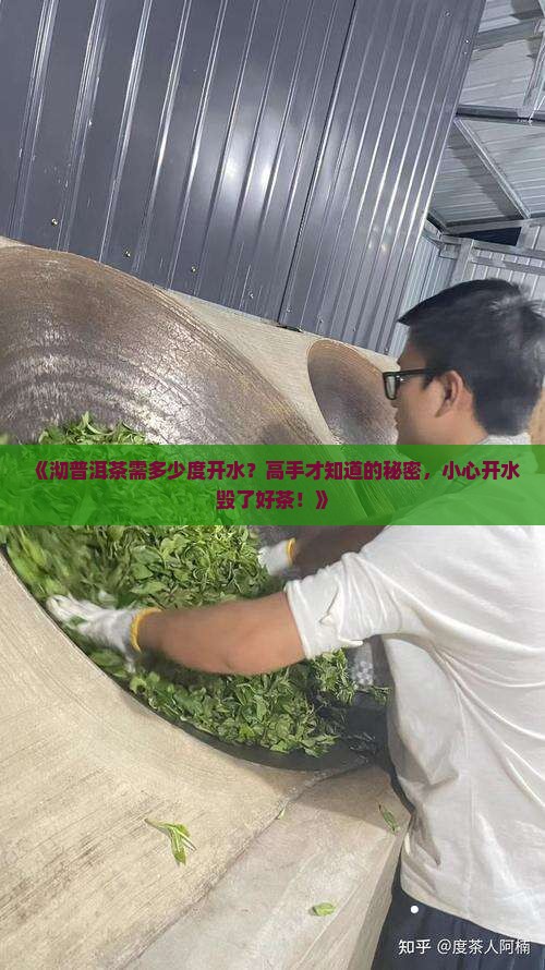 沏普洱茶需多少度开水