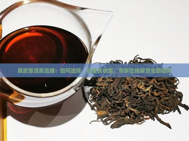 易武普洱茶直播