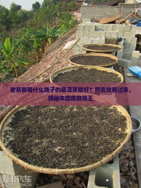 老茶客喝什么牌子的普洱茶最好