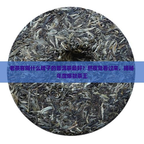 老茶客喝什么牌子的普洱茶最好