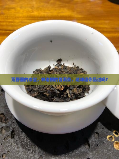 林老根荒山野韵普洱茶