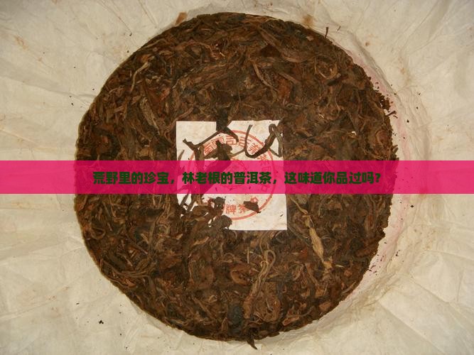 林老根荒山野韵普洱茶