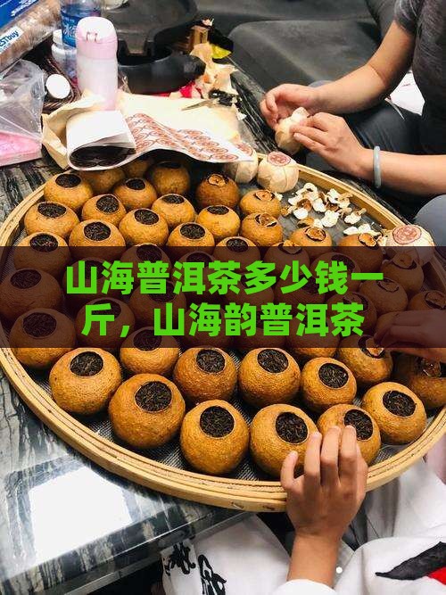 山海普洱茶多少钱