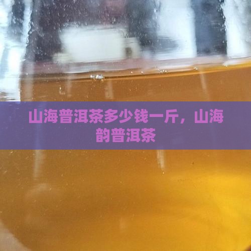 山海普洱茶多少钱