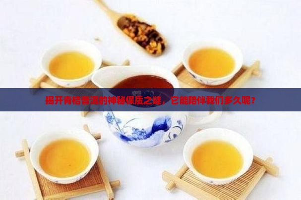 青桔普洱茶有保质期