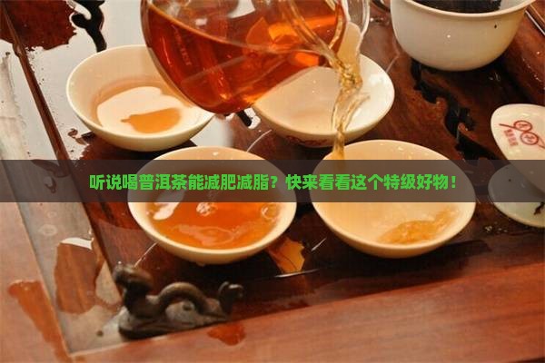 普洱茶减肥减脂特级