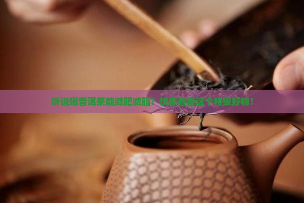 普洱茶减肥减脂特级