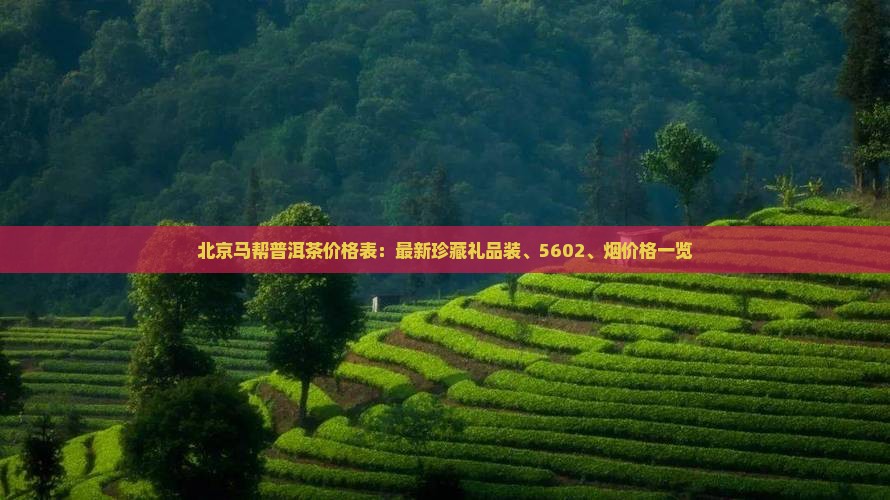 北京马帮普洱茶价格表