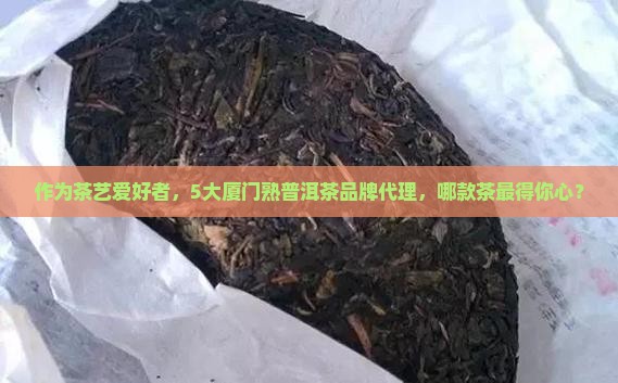 厦门熟普洱茶品牌代理