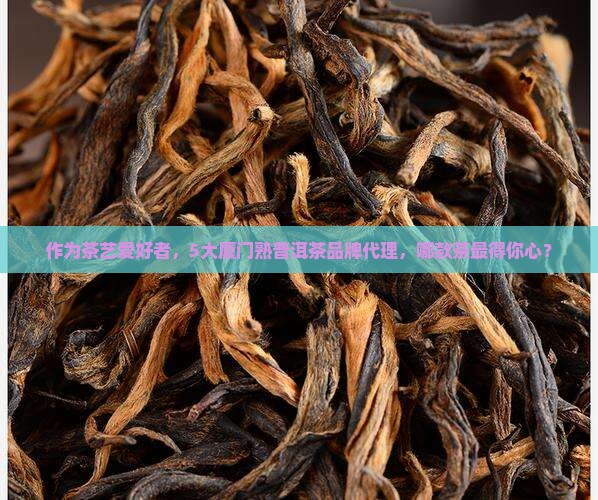 厦门熟普洱茶品牌代理