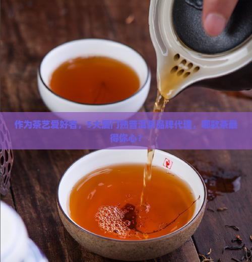 厦门熟普洱茶品牌代理