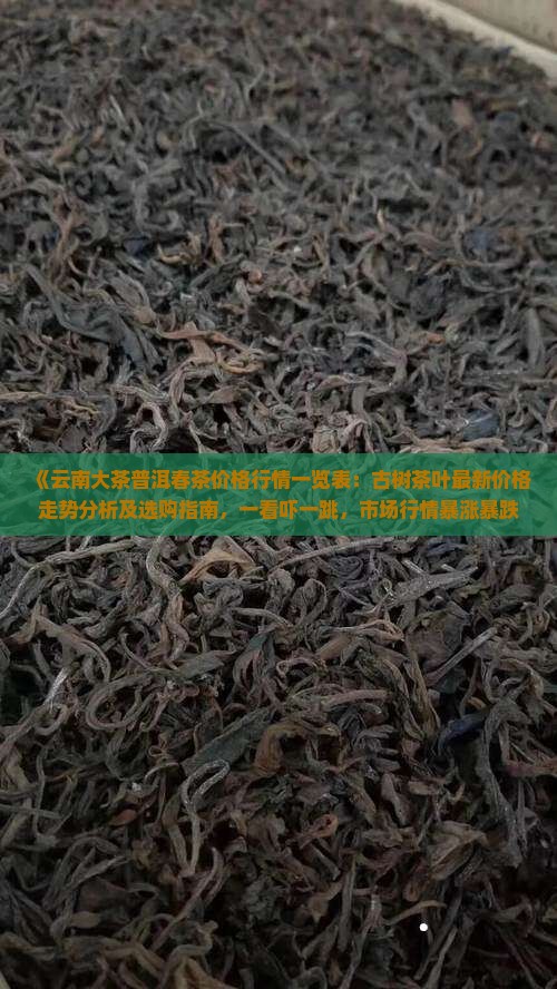 普洱茶网价格行情走势分析