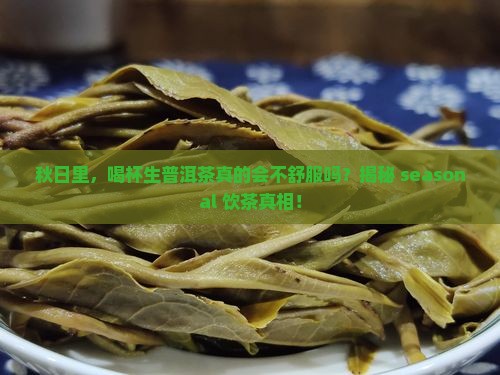 秋季喝生普洱茶有没有坏处