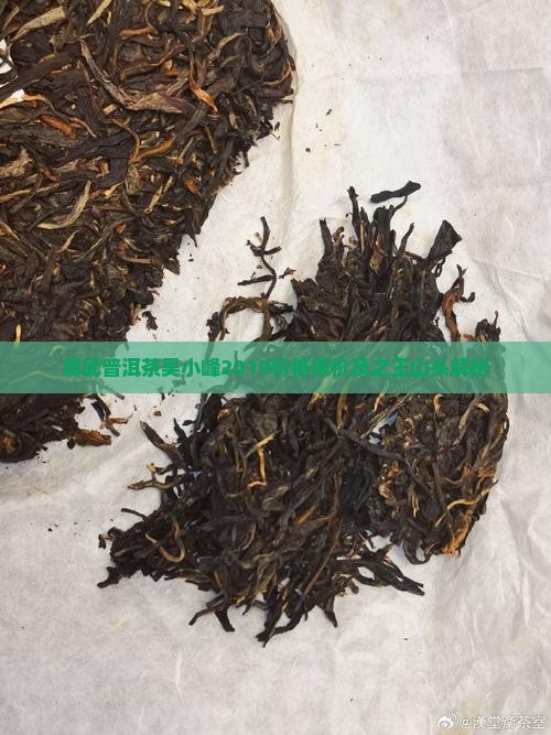 易武普洱茶吴小峰