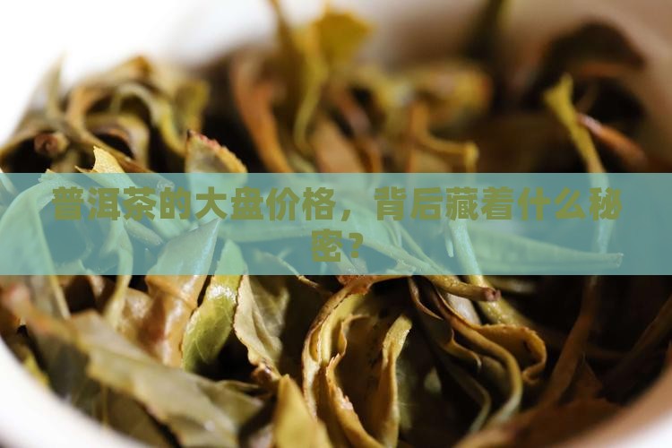 普洱茶大部分价格