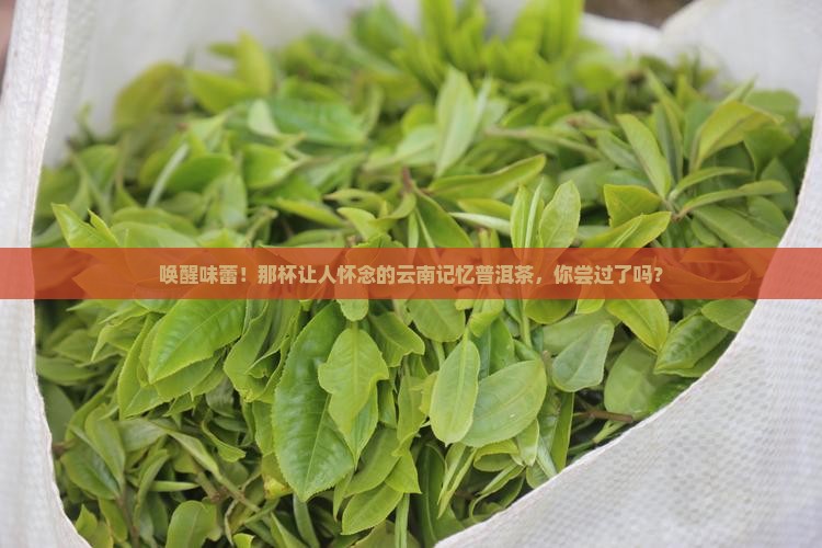 云南记忆普洱茶