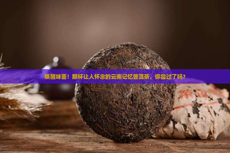 云南记忆普洱茶