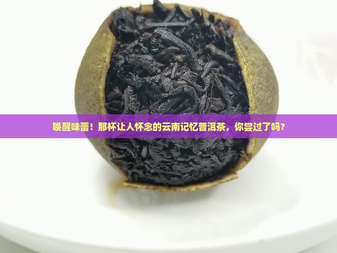 云南记忆普洱茶