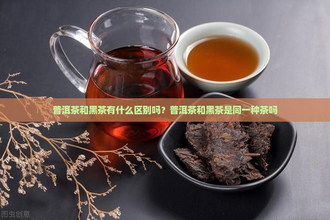 普洱茶和黑茶有什么区别吗