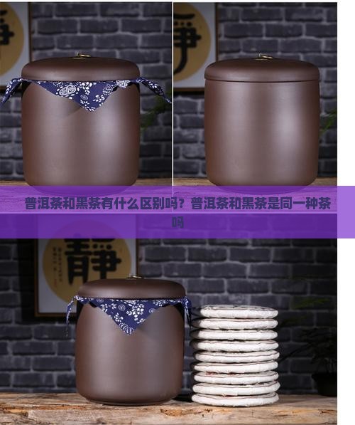 普洱茶和黑茶有什么区别吗