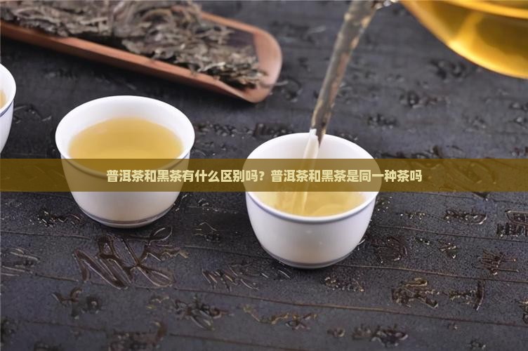 普洱茶和黑茶有什么区别吗