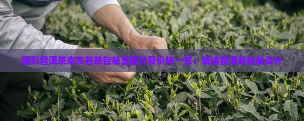 圆形普洱茶包装
