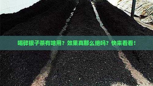 喝碎银子茶有什么作用和功效