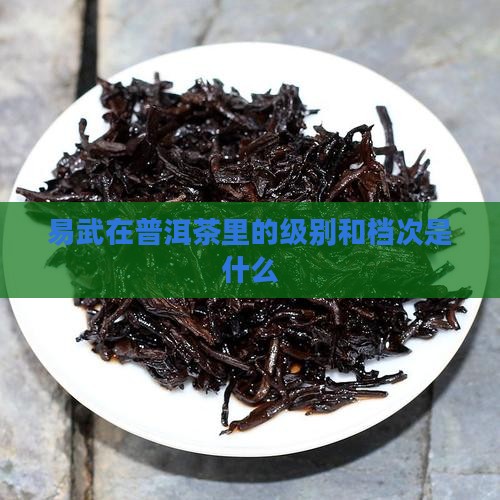 易武在普洱茶里什么级别