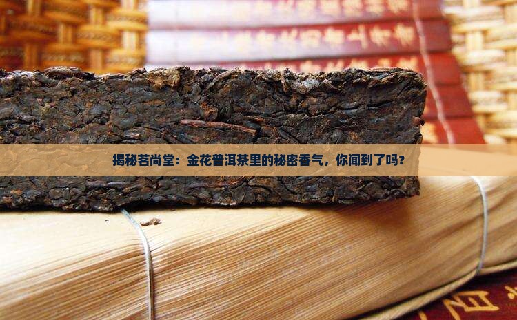 茗尚堂金花普洱茶