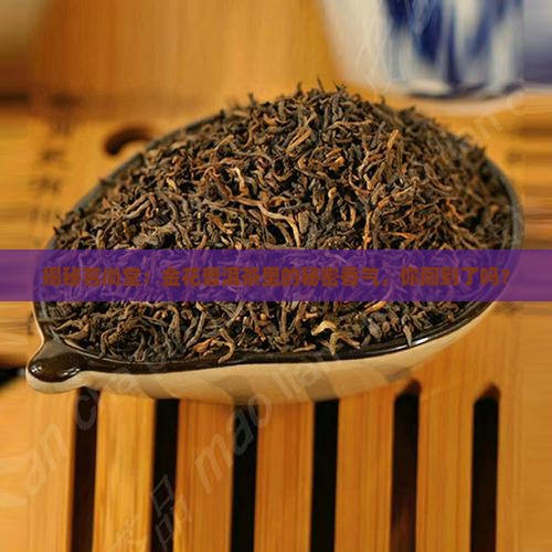 茗尚堂金花普洱茶