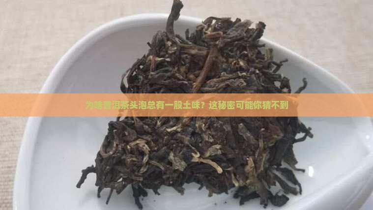 为什么普洱茶第一泡有土味