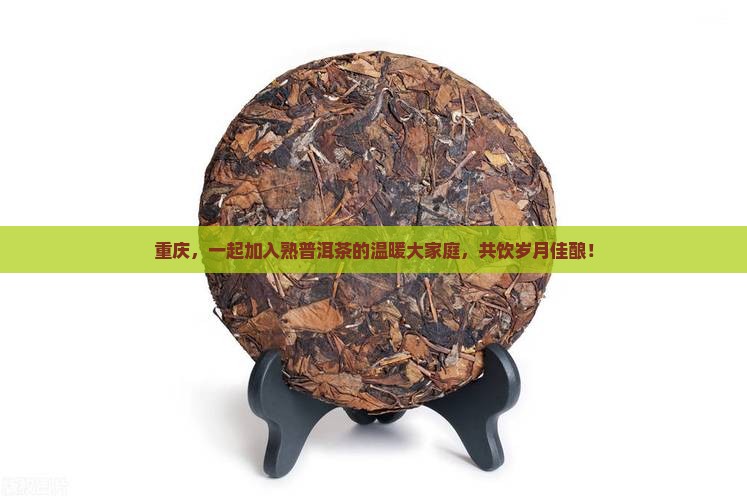 重庆熟普洱茶渠道招商加盟