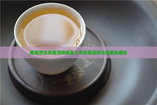 森龙原生态普洱茶