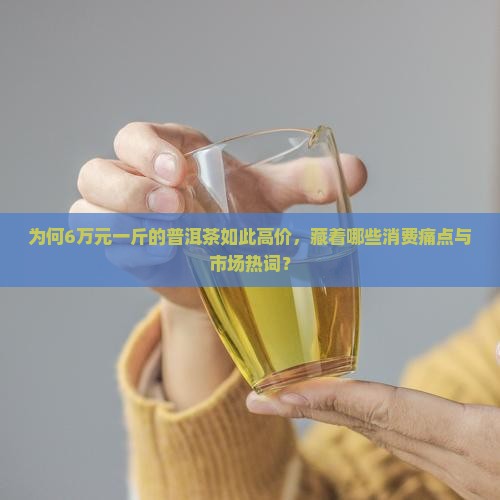 6万元一斤的普洱茶