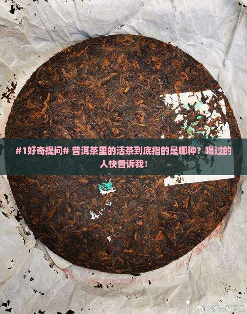 普洱茶中的活茶是指哪一种
