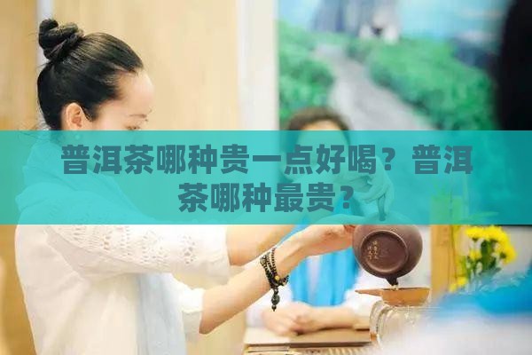 普洱茶哪种贵一点