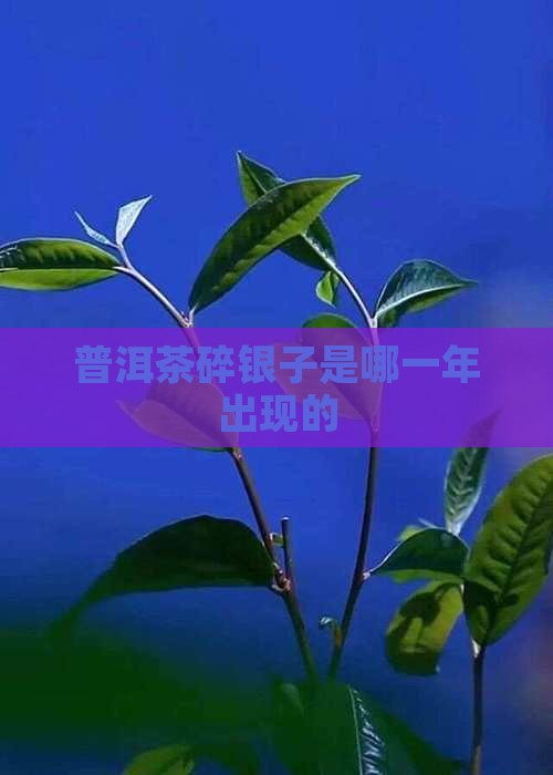 普洱茶碎银子哪一年出现的