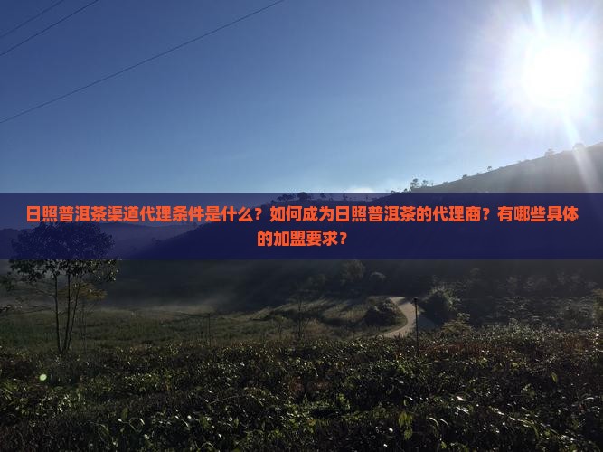 日照普洱茶渠道代理条件