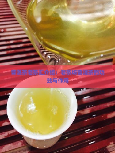 普洱茶老茶汇介绍