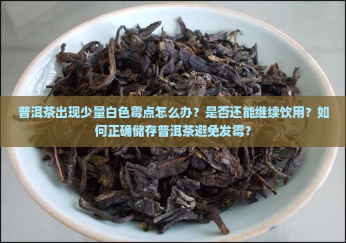 普洱茶有少量白色霉点