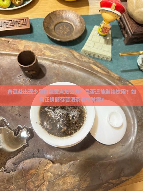 普洱茶有少量白色霉点